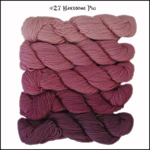 Wonderland Yarns Mini-skein Pack Cheshire Cat - 27 Handsome Pig