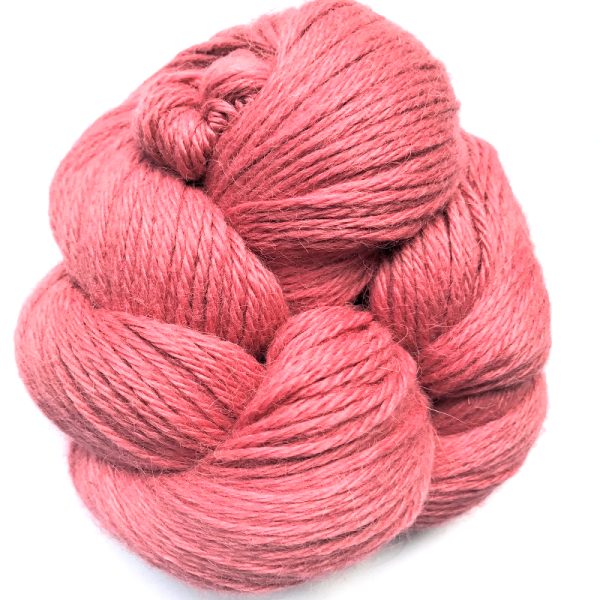 3M003 Tea Rose.jpg