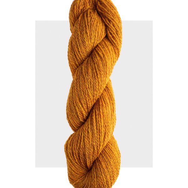 Harrisville Shetland - 81 Mustard