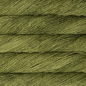 Malabrigo Dos Tierras - Lettuce - DST037