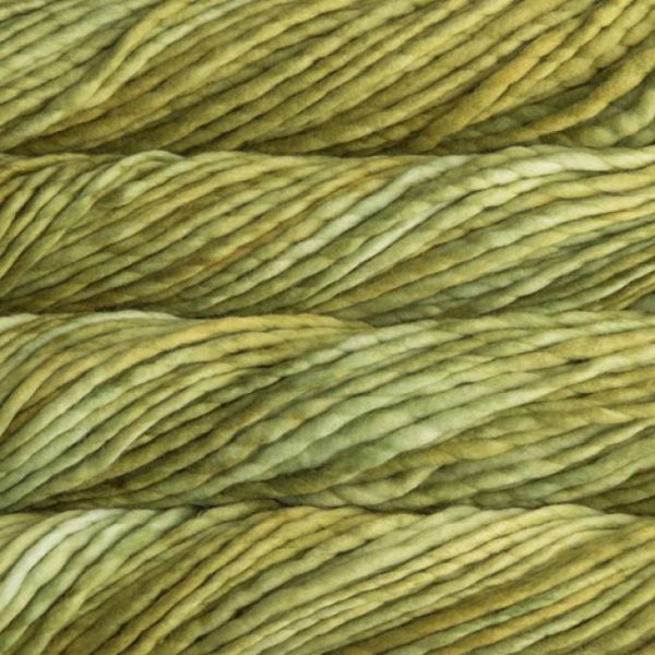 Lettuce RAS037.jpg